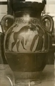 AMPHORA, BELLY, TYPE B (ATHENIAN, BLACK-FIGURE)