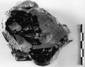 PLAQUE, FRAGMENT (ATHENIAN, BLACK-FIGURE)