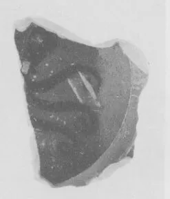 AMPHORA, BELLY, FRAGMENT (ATHENIAN, BLACK-FIGURE)