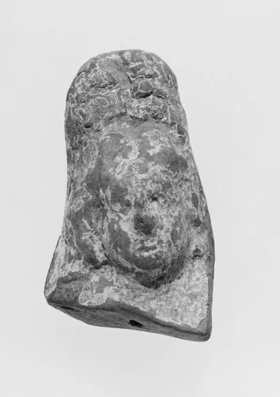 Female Head