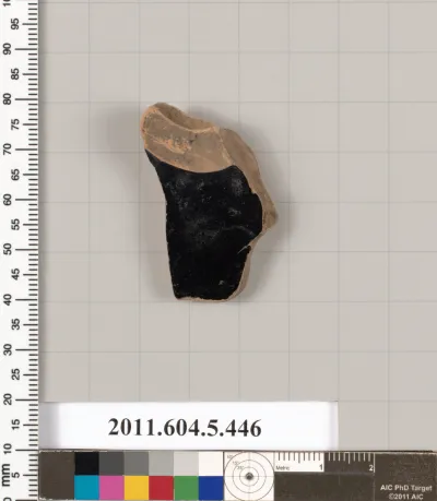 Terracotta fragment of a kylix (drinking cup)