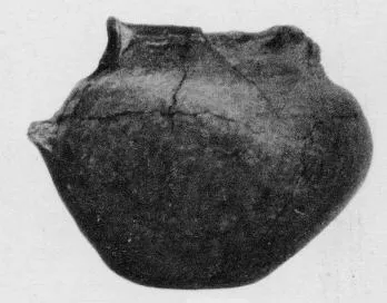 JUG (VILLA NOVA)