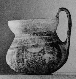 PITCHER (DAUNIAN)