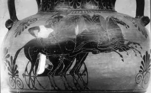 AMPHORA, NECK (ATHENIAN, BLACK-FIGURE)