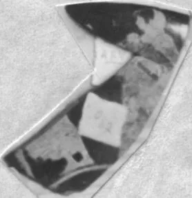CUP, FRAGMENT (ATHENIAN, RED-FIGURE)