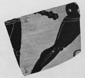 AMPHORA, NECK (?), FRAGMENT (ATHENIAN, BLACK-FIGURE)