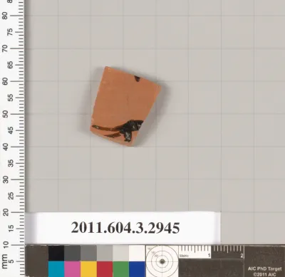 Terracotta fragment of a neck-amphora (jar)