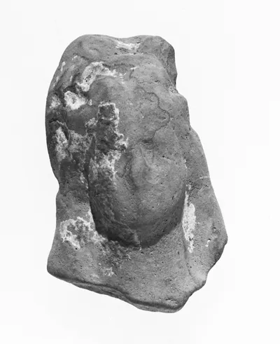 Female Head