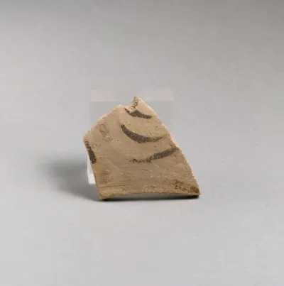 Vase fragment