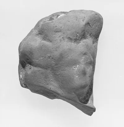 Female Head