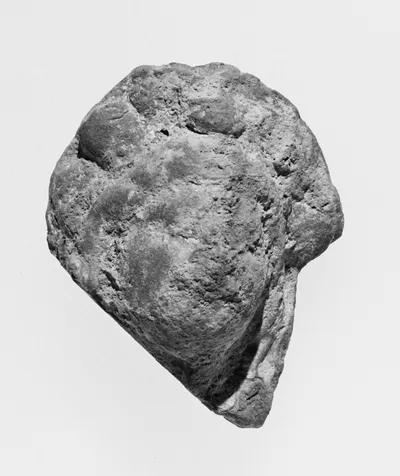 Female Head