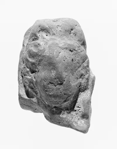 Female Head