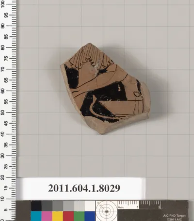 Terracotta fragment of a kylix (drinking cup)