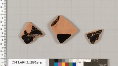 Terracotta fragments of an open shape