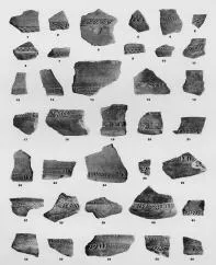 VARIOUS (VUCEDOL)
