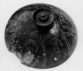 LID (VILLA NOVA)