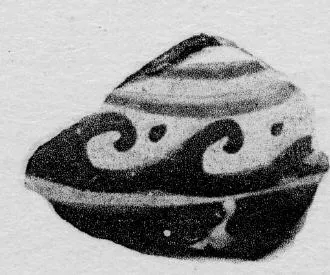 LEKYTHOS, FRAGMENTS (SOUTH ITALIAN, APULIAN, RED-FIGURE)