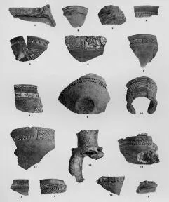 VARIOUS (SARVAS)