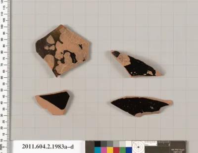 Terracotta fragments of pots; unglazed on the inside