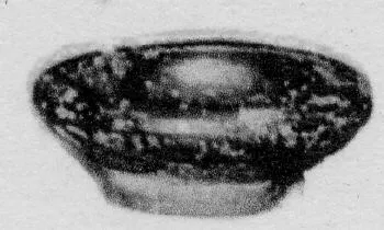 BOWL (SOUTH ITALIAN, CAMPANIAN, BLACK GLAZE)