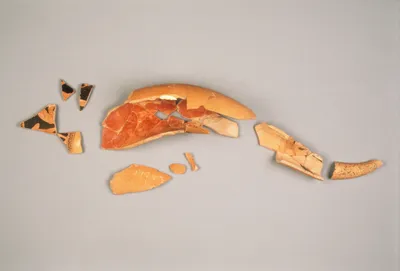 Attic Red-Figure Keras Fragment (comprised of 22 joined fragments)