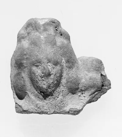Female Head
