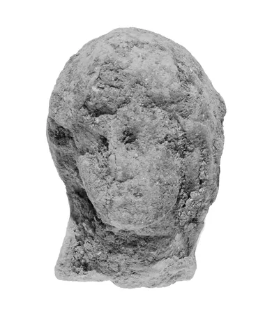 Hooded Female Head