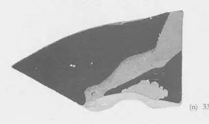 CUP, FRAGMENT (ATHENIAN, RED-FIGURE)