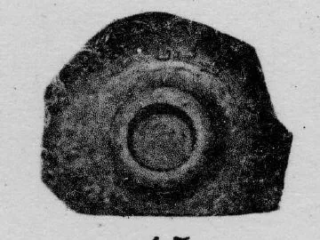 BOWL, FRAGMENT (GALLO-ROMAN, RELIEF)