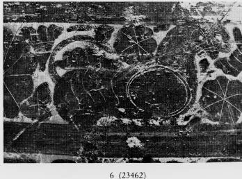 OLPE (ETRUSCO-CORINTHIAN, BLACK-FIGURE)