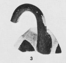 MASTOID, FRAGMENT (ATHENIAN, BLACK-FIGURE)