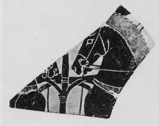 AMPHORA, NECK, FRAGMENT (CHALCIDIAN, BLACK-FIGURE)