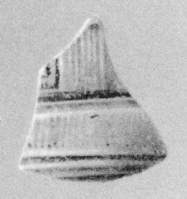 FRAGMENT (ATHENIAN GEOMETRIC)