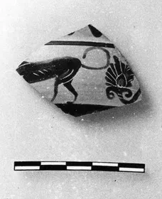 CUP, SIANA, FRAGMENT (ATHENIAN, BLACK-FIGURE)