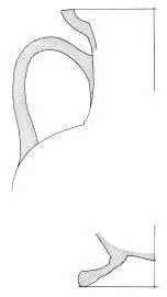 AMPHORA, NECK (ATHENIAN, BLACK-FIGURE)