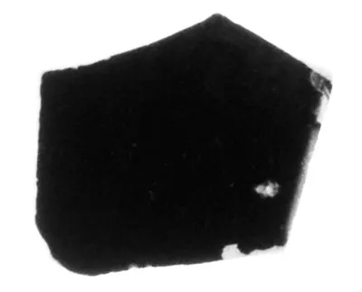 Attic Black-Figure Band Cup Fragment