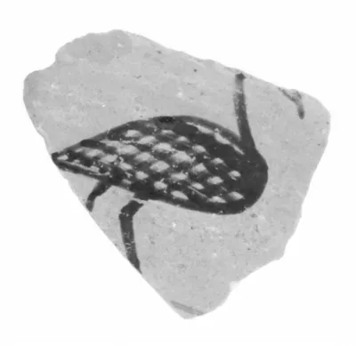 Italic Black-Figure Vase Fragment