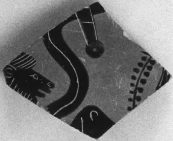 SKYPHOS, FRAGMENT (ATHENIAN, BLACK-FIGURE)