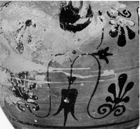 AMPHORA, NECK (ATHENIAN, BLACK-FIGURE)