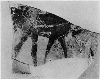 KRATER, COLUMN, FRAGMENTS (ATHENIAN, BLACK-FIGURE)