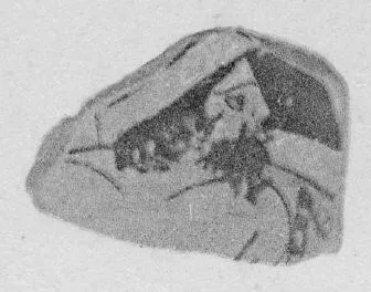 CUP, FRAGMENT (ATHENIAN, RED-FIGURE)