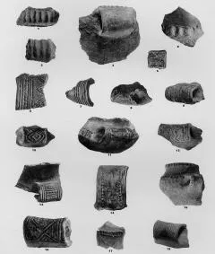 VARIOUS (SARVAS)