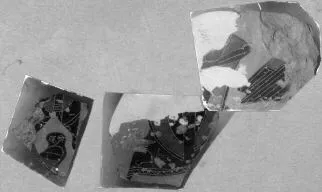 KRATER, COLUMN, FRAGMENTS (ATHENIAN, BLACK-FIGURE)