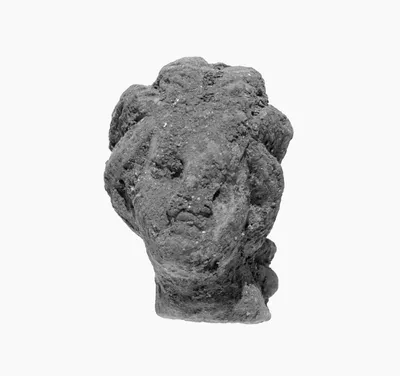 Head with Melon Coiffure