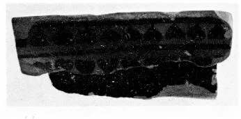 KRATER, COLUMN, FRAGMENT (ATHENIAN, BLACK-FIGURE)