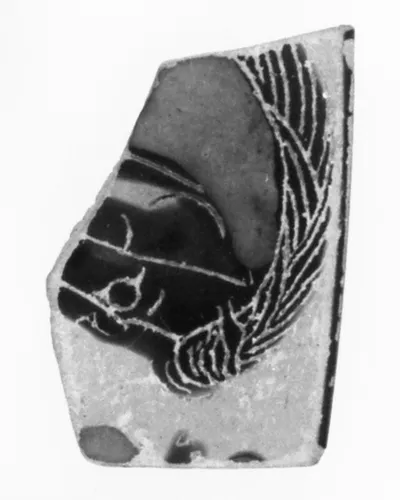 Siana Cup Fragment