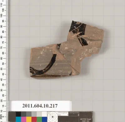 Terracotta fragment of an amphora (jar)?