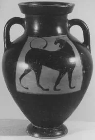 AMPHORA, BELLY, TYPE B (ATHENIAN, BLACK-FIGURE)