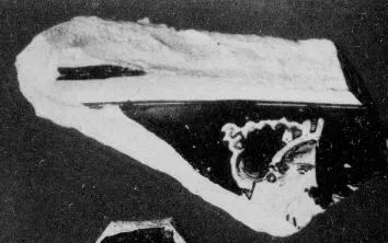 KRATER, BELL, FRAGMENT (ATHENIAN, RED-FIGURE)