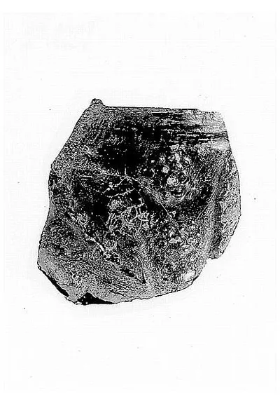 vase